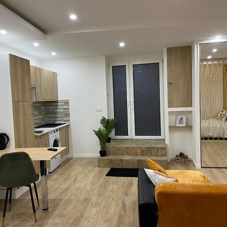 Appartement Luxe Jaune Сент-Этьен Экстерьер фото