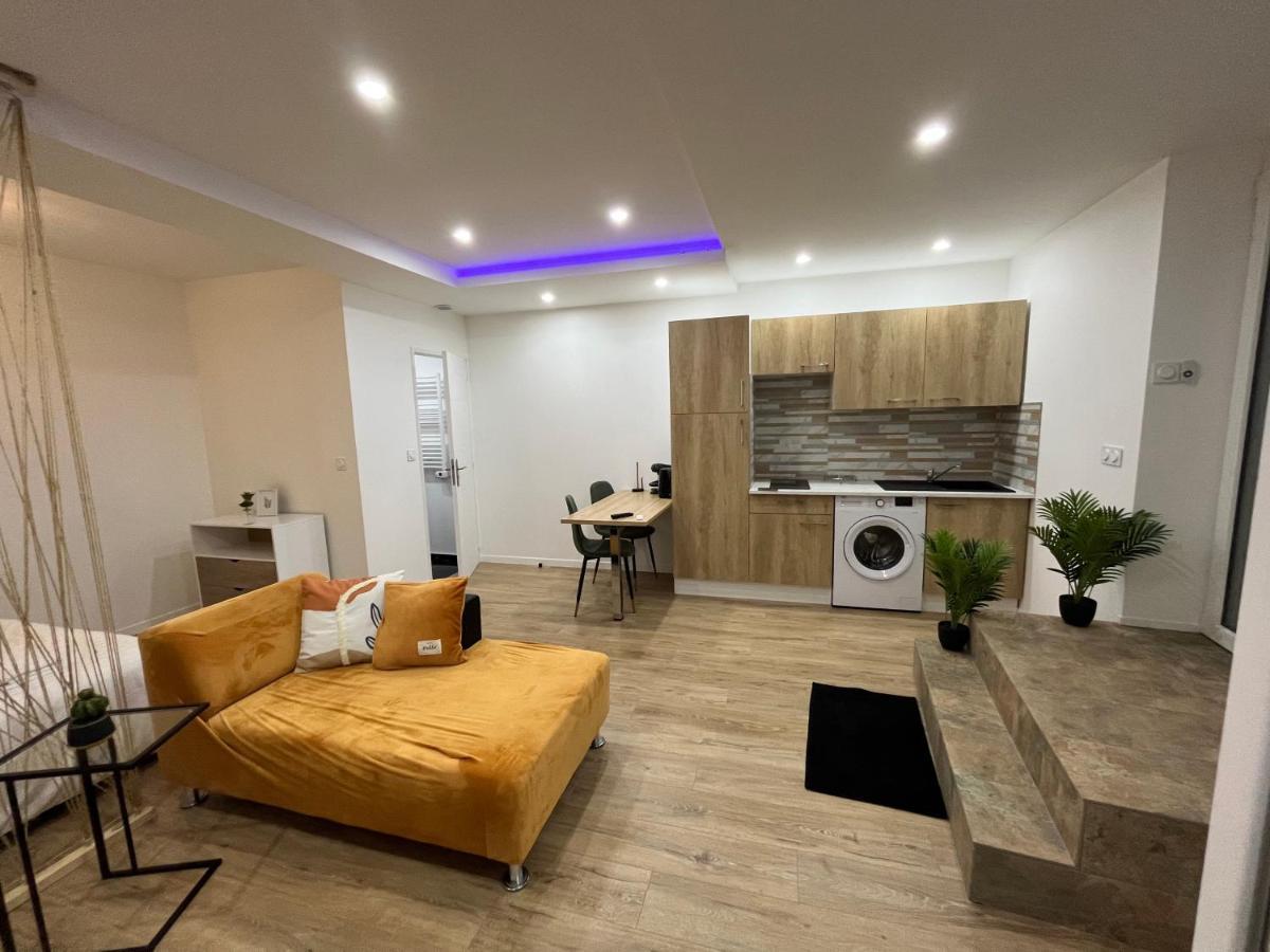 Appartement Luxe Jaune Сент-Этьен Экстерьер фото